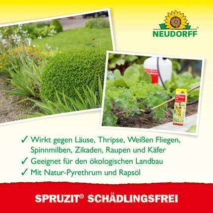 Neudorff Spruzit Pest-Free – koncentrāts apkaro kaitēkļus, piemēram, bukskodes, laputis un tripšus dekoratīvajos augos, dārzeņos un garšaugos, 250 ml