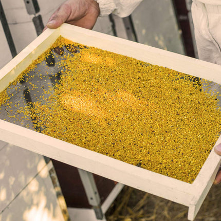 Augstākās kvalitātes biškopības ziedu/bišu ziedputekšņi no ImkerPur, 500 g, pilnīgi bez atlikumiem, saldi un maigi, (Parastie, 500 g)