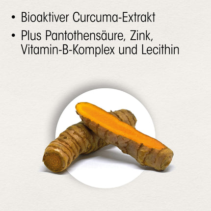 Dr. Böhm Memory Active Direct Sticks: Atmiņai, iegaumēšanai un garīgajai veiktspējai ar kurkumas ekstraktu, B vitamīniem, cinka un lecitīna kompleksu, 20 stienīši