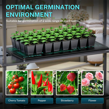 HG Power Heizmatte mit Thermostat - Heizmatte Pflanzen Wärmematte für Zimmergewächshaus, Gewächshaus Heizmatte mit Temperaturregler für Growzelt Growbox Grow Zubehör Terrarium 53 cm x 25 cm, 55Watt
