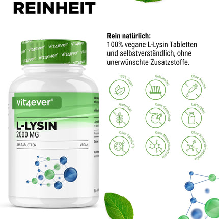 L-lizīns - 365 tabletes - augsta deva ar 2000 mg L-lizīna hidrohlorīda dienā - no augu fermentācijas - bez piedevām - vegāns