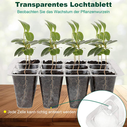 Mini siltumnīcas audzēšana, 3 iekštelpu siltumnīcas audzēšanas kastes, stādu sākuma paplātes, siltumnīcas audzēšanas paplātes ar vāka ventilāciju