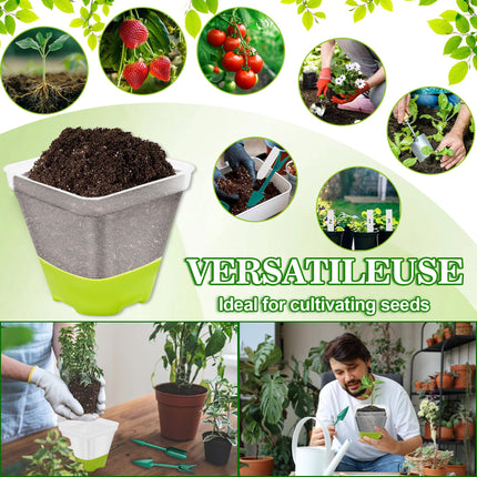 TZEKING 30 iepakojuma stādu podi, caurspīdīgi puķu podi ar silikona dibenu, caurspīdīgi augu podi ērtai novērošanai, pārstādīšanai, atkārtoti lietojami plastmasas puķu podi sēklām, stādiem