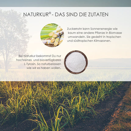 Naturkur® L-tirozīns 500 mg - 240 kapsulas farmaceita stikla burciņā - Tīrs un vegānisks ar vislabāko biopieejamību, roku darbs Lejasfranconijā