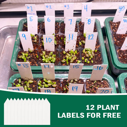 Jauns piecu daļu mini siltumnīcas audzēšanas komplekts ar laika kontrolieri, regulējamu spilgtumu, pilnu spektru, iekštelpu siltumnīcas audzēšanas kaste ar vāku un ventilāciju, 12 etiķetes, 2 instrumenti