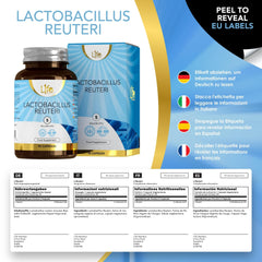 LN Lactobacillus Reuteri | 90 probiotisko Lactobacillus Reuteri kapsulas – 5 miljardi CBU L-Reuteri vienā porcijā | Augstas devas L-reiteri uztura bagātinātājs | Bez ĢMO, glutēna un alergēniem