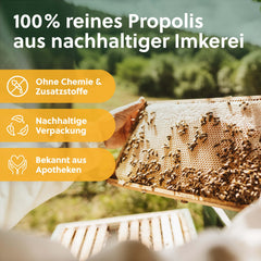 beegut ORGANISKĀS propolisa pilieni šķidrumā bez spirta, 50 ml ūdenī šķīstoša tinktūra ar ORGANISKĀS propolisa ekstraktu, standartizēta kvalitāte, ilgtspējīgs iepakojums (50 ml)