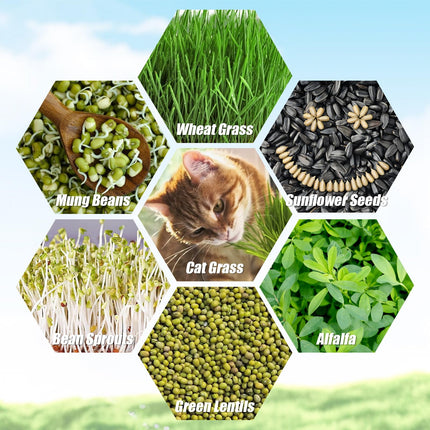 CYEER 8 dīgšanas paplāšu iepakojums, 34x25x11 cm kressalātu sēklu paplātes, mikrozaļumu sēklu paplātes, dīgšanas paplāte, dīgšanas komplekts mung pupiņu, lucernas, kviešu dīgstu audzēšanai