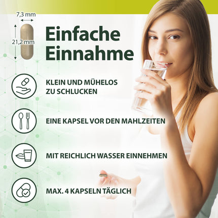 GALLMET Natural 60x vērša žults 125 mg žults sāls dabiski atbalsta gremošanas problēmas, tauku gremošanu, atbalstu pēc žultsakmeņiem - vērša žults kapsulas 125 mg vienā kapsulā - Ražots ES