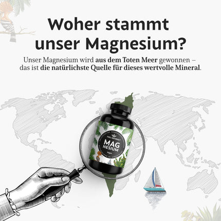 Augstas magnija devas kapsulas - 365 kapsulas (gada daudzums) - 664 mg vienā kapsulā, ieskaitot 400 mg elementārā magnija - augstāks saturs nekā citās magnija formās - Laboratorijā pārbaudīts un vegānisks
