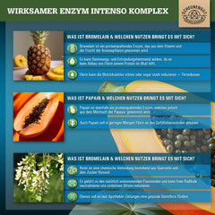 ENZYM INTENSO® bromelaīna kapsulas — SVARĪGI: Laboratorijā pārbaudīta formula ar bromelaīnu (5000 FIP), papaīnu, rutīnu | ananāsu un papaijas enzīms - 120 kuņģa sulu izturīgas kapsulas - SCHEUNENGUT®