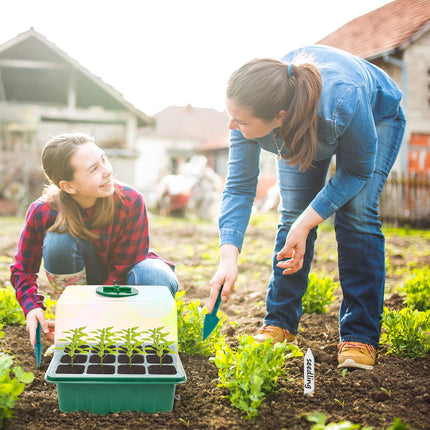 Mini siltumnīcas audzēšana, 5 daļu iekštelpu siltumnīcas audzēšanas kaste ar gaismu, siltumnīcas audzēšanas paplāte ar augstu vāku, stādu sākuma paplātes, audzēšanas komplekts, 10 etiķetes, 2 instrumenti stādu stādīšanai
