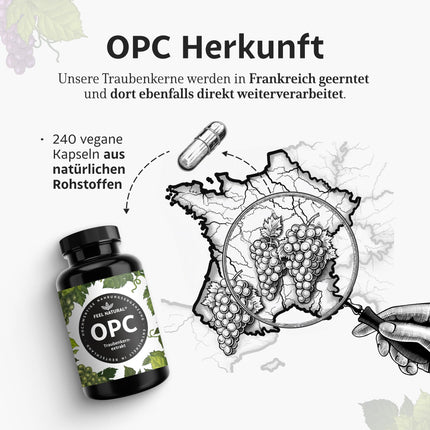 OPC vīnogu kauliņu ekstrakts – 240 kapsulas ar 1000 mg OPC ekstrakta – Augstākais OPC saturs saskaņā ar HPLC – no Francijas vīnogām – Vegāns, augsta deva, ražots Vācijā