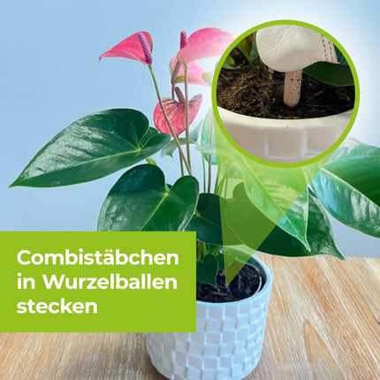 PROTECT GARDEN Lizetan Plus kombinētie mēslošanas stienīši, ilgtermiņa kaitēkļu apkarošana un augstākās kvalitātes mēslojums vienā, 40 stienīši