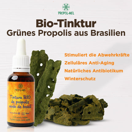 Brazīlijas zaļā propolisa šķidrais ekstrakts 30 ml – BIOLOĢISKS. Mātes tinktūra. 100% dabīgs, bez glutēna, 25% svara/tilpuma.