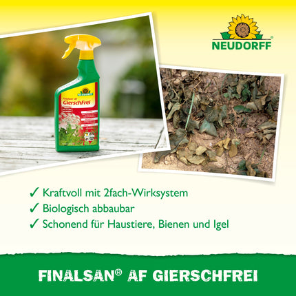 Neudorff Finalsan AF GierschFrei – ātras iedarbības nezāļu iznīcinātājs pret zemes plūškoku un kosu. Iedarbojas līdz pat matu saknēm, 750 ml