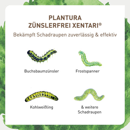 Plantura Xentari bez kāpuriem un kodēm līdzeklis pret bukskodes kodēm un kaitēkļu kāpuriem, ārkārtīgi efektīvs un bioloģisks aerosols, nekaitīgs bitēm, 8 x 2 g paciņas