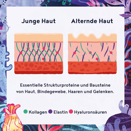 Jūras kolagēns ar hialuronskābi kapsulās | 160 kapsulas | Jūras kolagēna hidrolizāts un jūras elastīns ar hialuronskābi un spirulīnu | Alfa pārtikas produkti