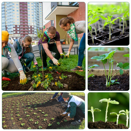 OPAHUTER iekštelpu siltumnīcas pavairotājs, 5 sēklu sākuma paplāšu pavairošanas kaste ar mitrumu regulējamiem kupolveida vākiem, audzēšanas paplātes sēklām, 12 šūnas paplātē