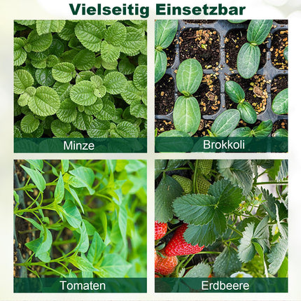 Mini siltumnīcas audzēšana, 3 iekštelpu siltumnīcas audzēšanas kastes, stādu sākuma paplātes, siltumnīcas audzēšanas paplātes ar vāka ventilāciju