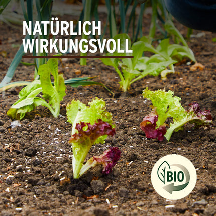 Substral Naturen gliemežu granulas Limex Bio, dabīgas, lietus necaurlaidīgas ēsmas granulas gliemežu apkarošanai, 400 m² - 1,2 kg, suņiem