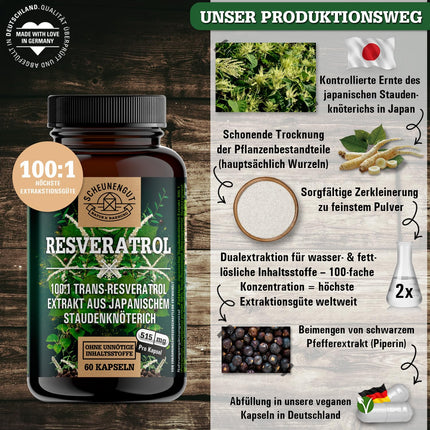 Resveratrols - 1000 mg dienā - SVARĪGI: 100:1 ekstrakts (= 100 000 mg Japānas dižsūrenes saknes) + piperīns | 98% trans-resveratrola liela deva | Laboratorijā pārbaudīts -DE- SCHEUNENGUT®