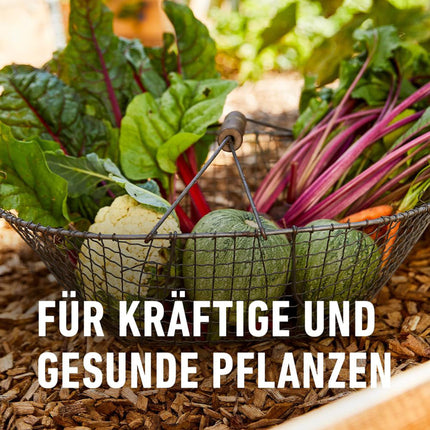 COMPO dārza ilgtermiņa mēslojums 2kg