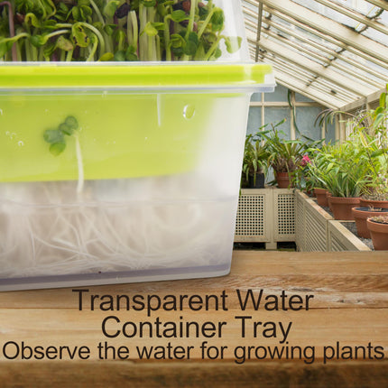 6 caurspīdīgu mikrozaļumu paplāšu komplekts ar plastmasas mitruma kupolu, BPA nesaturoša diedzēšanas paplāte, atkārtoti lietojama sēklu paplāte kaķu zāles, brokoļu, sojas pupiņu asnu un daudzu citu augu stādīšanai