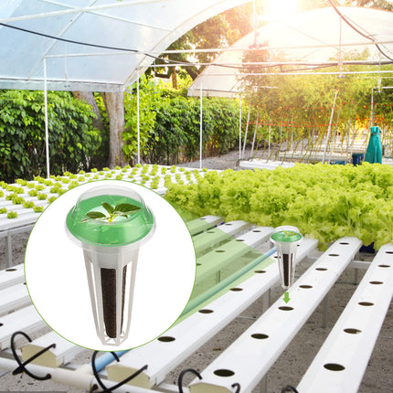 Sēklu kapsulu komplekts Aerogarden, Grow-Anything komplekts hidroponikai, augu kapsulu komplekts A un B augu mēslošanai ar augu groziem, audzēšanas sūkļiem, augu kupoliem un etiķetēm (12 gab.)