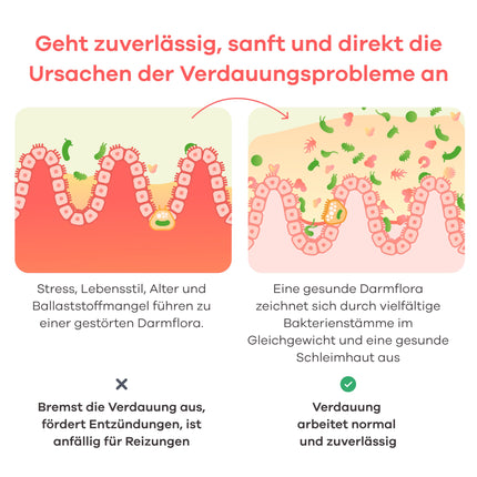 Apriwell zarnu kultūru komplekss - bez fruktozes - 5 pienskābes baktērijas un bifidobaktērijas - ar biotīnu gļotādām - ar zarnās šķīstošu pārklājumu - bez inulīna - 30 vegāniskas kapsulas