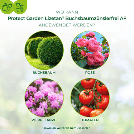 PROTECT GARDEN Lizetan Bukskoku kodēm brīvs AF, lietošanai gatavs aerosols pret bukskožu kodēm, 1 litrs