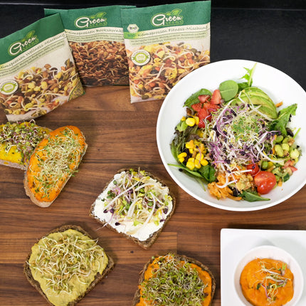 Green SEEDS® [Oriģinālais dīgšanas burku komplekts (2 gab.) + kressalātu siets + 3 x sēklu komplekts ar augstas kvalitātes nerūsējošā tērauda vāku, statīvu, keramikas bļodu + dīgšanas ABC [Drukātas versijas] Dīgšanas burku kultivēšanas komplekts