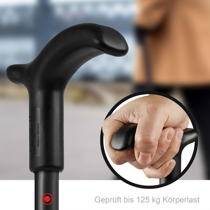 Rebotec Simplex spieķis ar Fritz rokturi