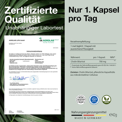 Augstas holīna devas 700 mg - 120 aknu kapsulas - Dabīgs un efektīvs - Ražots Vācijā un laboratorijā pārbaudīts - Augstas holīna devas kapsulas - Aknu detoksikācija - Holīna bitartrāts