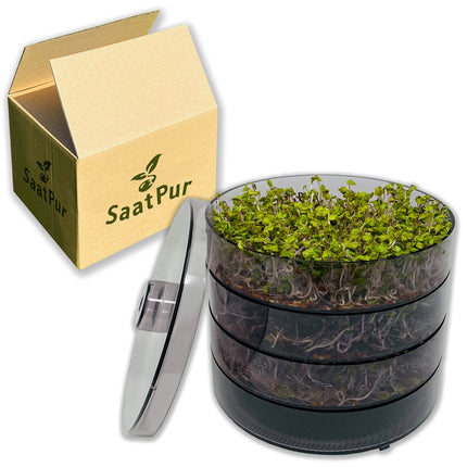 SaatPur® dīgšanas kastes komplekts ar 3 līmeņiem kā diedzēšanas ierīce: dīgļu audzēšana un mikrozaļumu audzēšanas paplātes. Dīgšanas kaste, diedzēšanas paplāte, kvalitāte, dīgšanas kaste, dīgšanas māja, dīgšanas ierīce