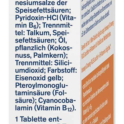 tetesept žeņšeņs plus lecitīns + B vitamīni - augsta deva - uztura bagātinātājs nervu atbalstam un organisma vitalizācijai, pateicoties B vitamīniem - 1 x 30 mini tabletes