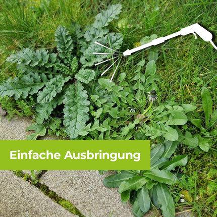 PROTECT GARDEN Permaclean bāze Acetum, turbo ātra nezāļu iznīcināšana no celiņiem, laukumiem un terasēm, 5 litru tvertne