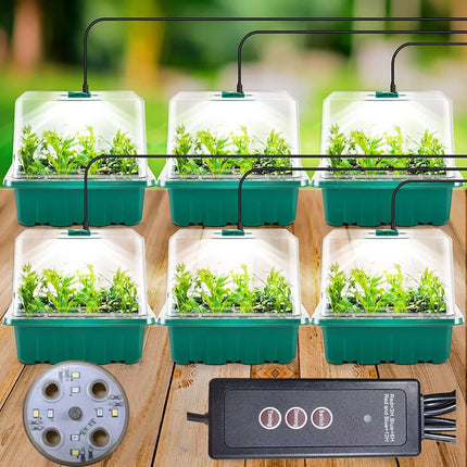 Iekštelpu siltumnīcas audzēšanas kaste, 6 mini siltumnīcas audzēšanas daļas ar augstu vāku, stādu starteris ar laika regulatoru (8 LED), paplātes, siltumnīcas audzēšanas paplāte ar 10 etiķetēm un 2 instrumentiem
