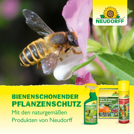 Neudorff Spruzit Pest-Free – koncentrāts apkaro kaitēkļus, piemēram, bukskodes, laputis un tripšus dekoratīvajos augos, dārzeņos un garšaugos, 250 ml