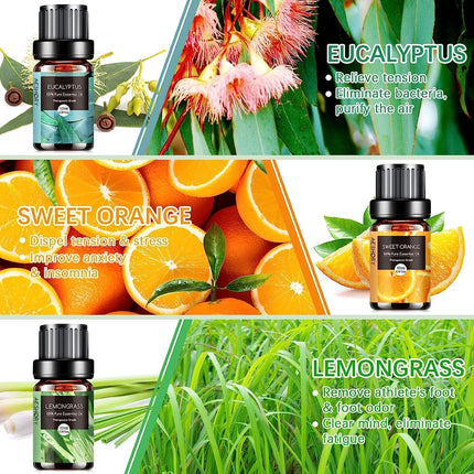 AESHORY ēterisko eļļu komplekts difuzoram 6 x 10 ml, 100% tīra aromterapijas smaržeļļa, aromātisko eļļu dāvanu komplekts ziepēm, svecēm, mitrinātājam, SPA - lavanda, piparmētra, tējas koks, saldais apelsīns, eikalipts