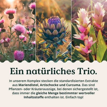 NATURE LOVE® Aknu komplekss - 120 kapsulas - ar mārdadzi, holīnu, artišoku ekstraktu, kurkumu un cinku - Augsta deva, vegāns, laboratorijā pārbaudīts un ražots Vācijā