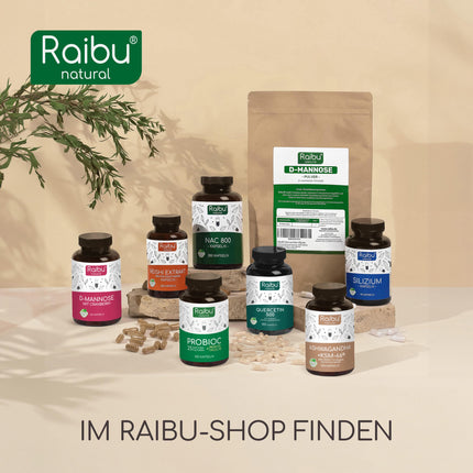Kvercetīns augstā devā - 180 kapsulas - 500 mg kvercetīna vienā kapsulā - 6 mēnešu krājumi - Augstas kvalitātes izejviela: Japānas pagodas koks - Bez piedevām un vegāns - Raibu