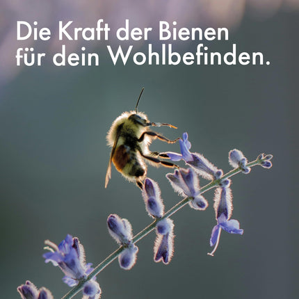 Propolisa aerosols rīkles, mutes dobuma un rīkles kopšanai - ar Jaunzēlandes Manuka medu, C vitamīnu, eikaliptu un piparmētru - mazina iekaisušu kaklu, elpošanas grūtības un sliktu elpu.