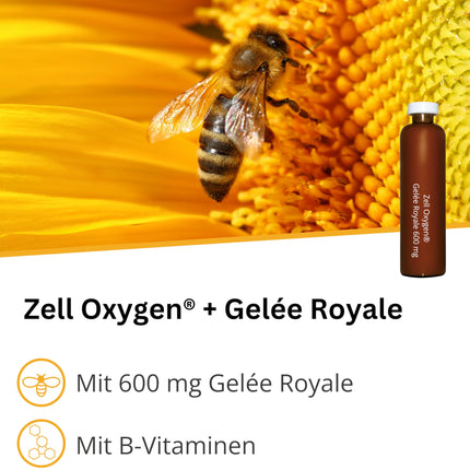 Dr. Wolz Zell Oxygen + Bišu peru pieniņa 600 mg, dabīgs rauga enzīmu šūnu līdzeklis veiktspējai un enerģijai, ar svaigu bioloģisku bišu peru pieniņu un vitamīniem, 14 ampulas pa 20 ml katrā