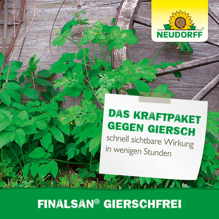 Neudorff Finalsan GierschFrei – ātras iedarbības nezāļu iznīcinātājs pret zemes plūškoku un kosu 180 m². Iedarbojas līdz pat saknei, 1 litrs