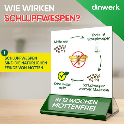 anwerk® Parazītiskās lapsenes pret drēbju kodēm - 8 kartītes ar 1 piegādi katrā - Efektīvi apkaro drēbju kodes - Alternatīva kožu slazdiem, kožu aerosoliem un feromonu slazdiem