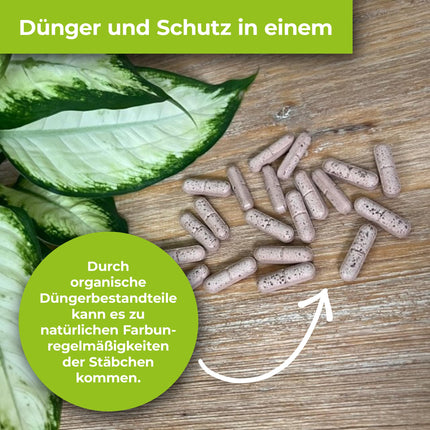 PROTECT GARDEN Lizetan Plus kombinētie mēslošanas stienīši, ilgtermiņa kaitēkļu apkarošana un augstākās kvalitātes mēslojums vienā, 40 stienīši