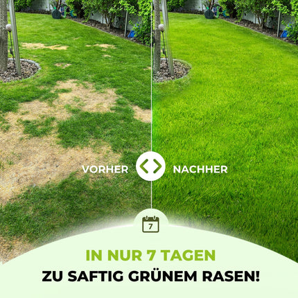 TerraUno zāliena mēslojums pavasarim/vasarai I Tūlītēja iedarbība sulīgam zaļumam I 20 kg uz 1000 m² I Veselīgs zāliens izspiež sūnas un nezāles I NPK mēslojums zālienam I Pret sausuma stresu I Izkliedētājam
