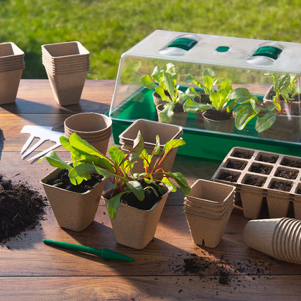 Meister audzēšanas podi 8 x 8 cm - Praktisks 96 gabalu komplekts - Izgatavoti no papīra masas - Bioloģiski noārdāmi / Augu pods / Sēklu pods / Augu audzēšana / WU9968330, Dabīgs