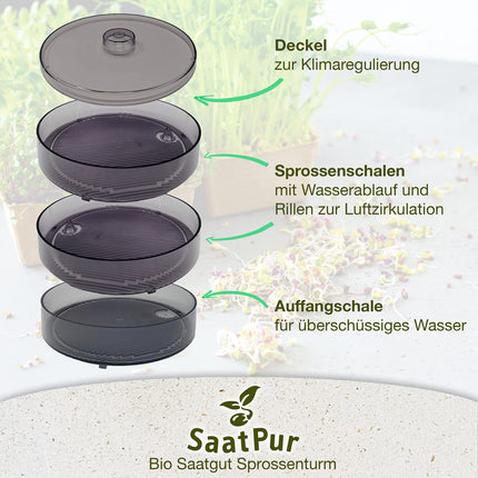 SaatPur® dīgšanas kastes komplekts 2 ar diviem līmeņiem kā diedzēšanas ierīce: dīgļu audzēšanai un mikrozaļumu audzēšanas paplātēm. Dīgšanas kaste, diedzēšanas paplāte, diedzēšanas kaste, dīgšanas kaste, dīgšanas māja, diedzēšanas ierīce